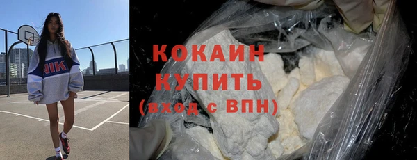 крисы Абаза