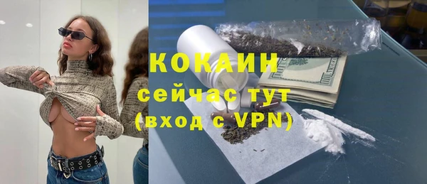 крисы Абаза