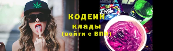 крисы Абаза