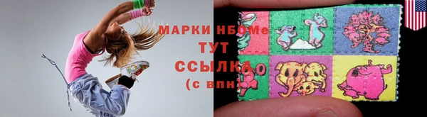 крисы Абаза