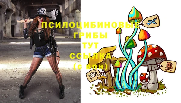 мет Абинск