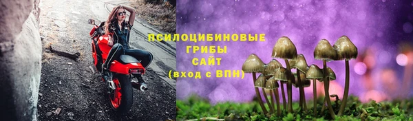 крисы Абаза