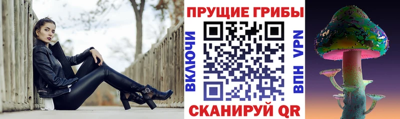 купить наркотики сайты  Костомукша  Галлюциногенные грибы Psilocybe 